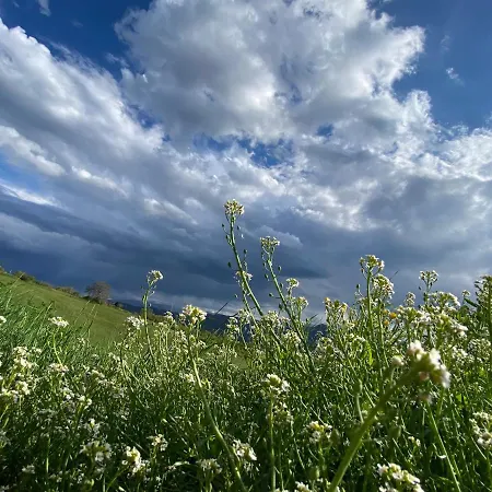 Fuoridicampo Blu Agroturismo Roncovetro