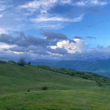 Fuoridicampo Blu Roncovetro