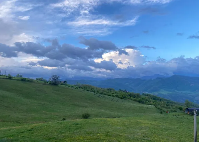 Fuoridicampo Blu Roncovetro