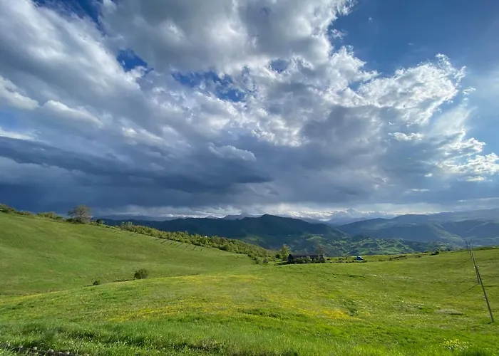 Fuoridicampo Blu Farma